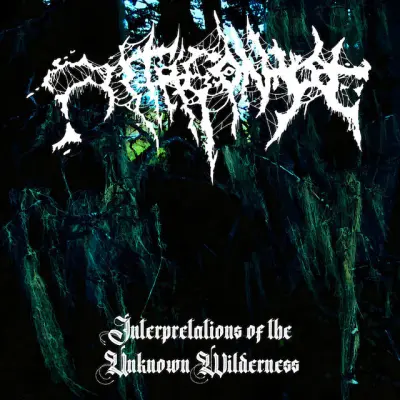 Antagonyze - Interpretations of the Unknown Wilderness (2024)