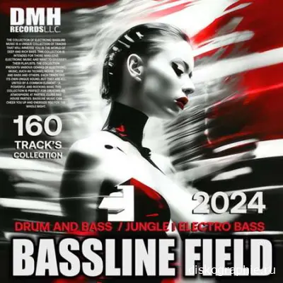 Bassline Field (2024)