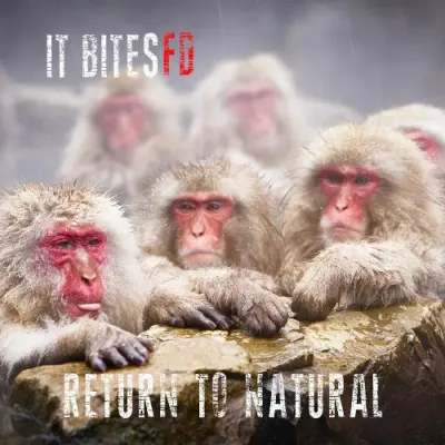 It Bites FD - Return To Natural (2024)