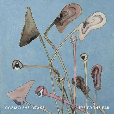 Cosmo Sheldrake - Eye To The Ear (2024)