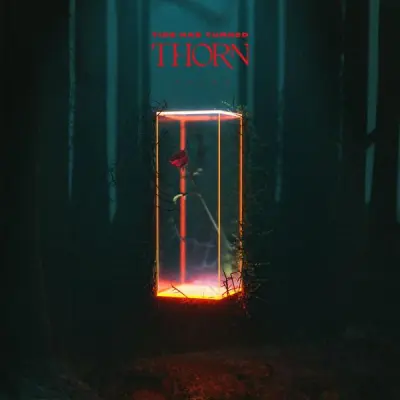 Tide Has Turned - Thorn (2024)