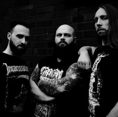 Evoked - Дискография (2014-2024)