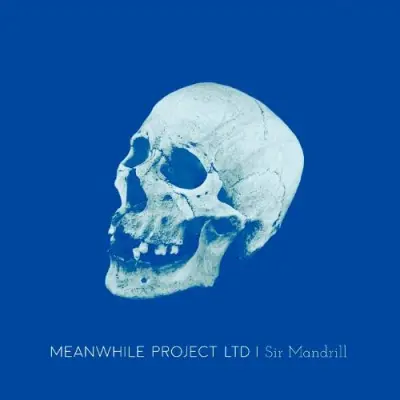 Meanwhile Project Ltd - Sir Mandrill (2024)