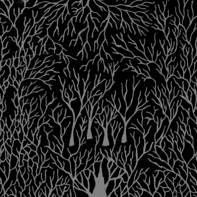 Vladduh - Дискография (2021-2024)