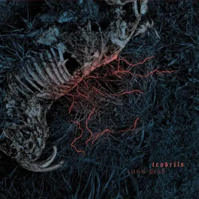 Tendrils - Long Dead (2024)