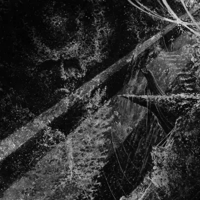 Wiedergänger - Stillborn Grace of Liberty (2025)