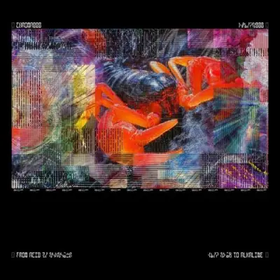 Bicep / CHROMA 000