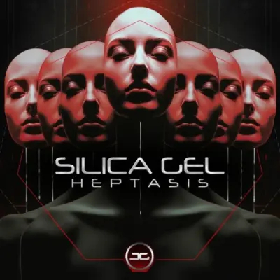 Silica Gel / Heptasis